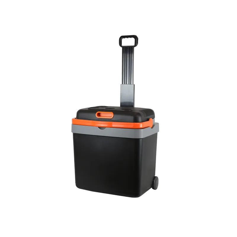 33L 휴대용 전기 자동차용 냉장고, 12V DC, 캠 - Wine Beer Dual Zone 리뷰 및 가격